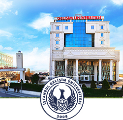 gelisimuniversitesi